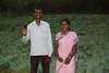 Pradeeb und seine Frau zeigten dem CSI-Team voller Freude und Stolz ihre Felder (csi)